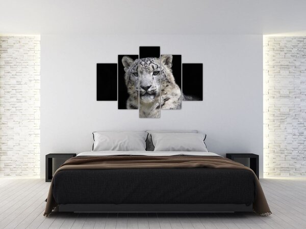 Kép - Snow Leopard (150x105 cm)