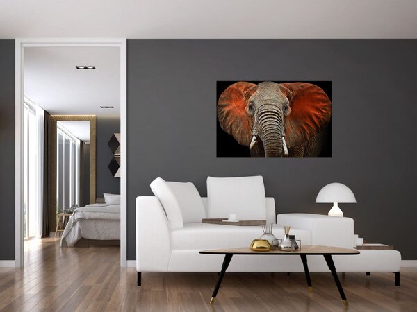 Kép - Elefántok Tsavóval (90x60 cm)