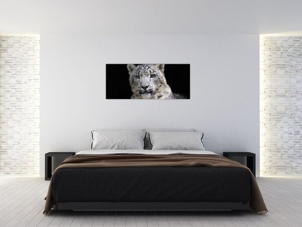 Kép - Snow Leopard (120x50 cm)