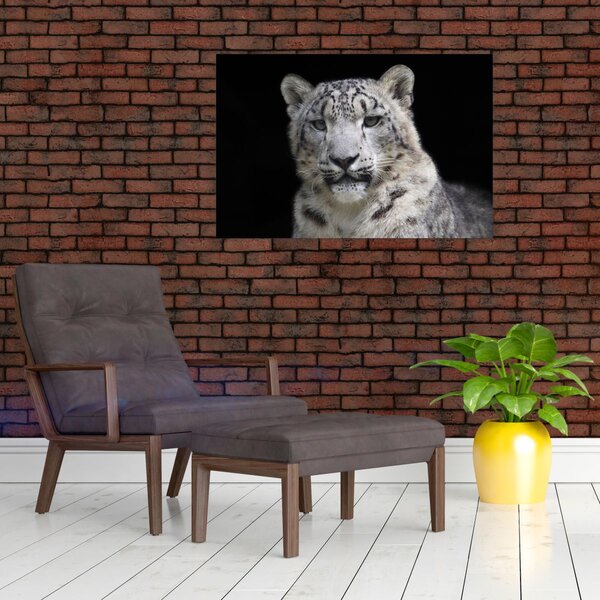Kép - Snow Leopard (90x60 cm)