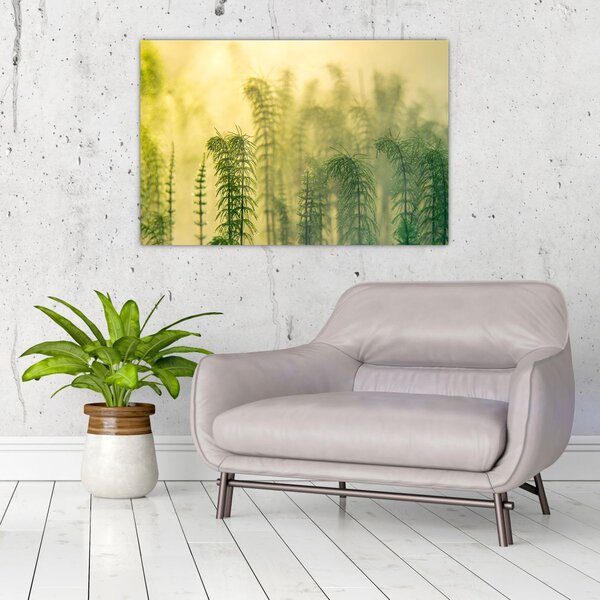 Kép - Részlet a tavaszi ködös természetből (90x60 cm)