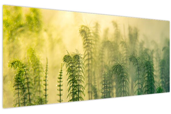 Kép - Részlet a tavaszi ködös természetből (120x50 cm)