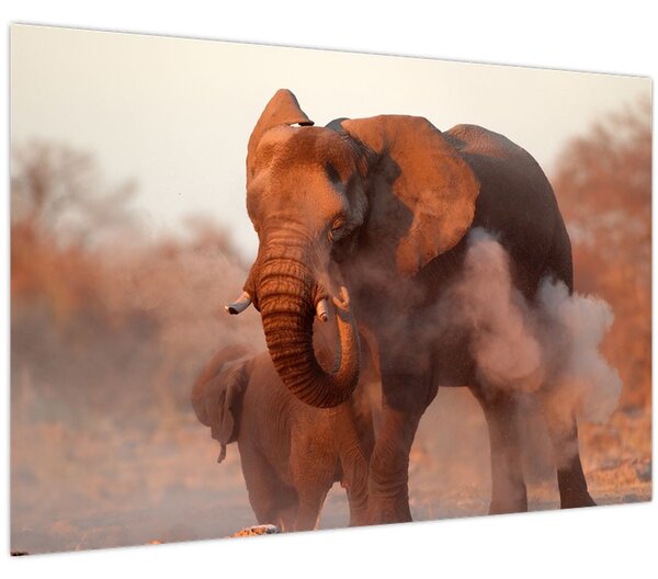 Kép - Nagy afrikai elefánt (90x60 cm)