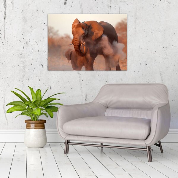 Kép - Nagy afrikai elefánt (70x50 cm)