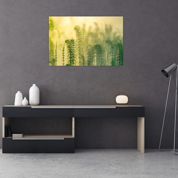Kép - Részlet a tavaszi ködös természetből (90x60 cm)