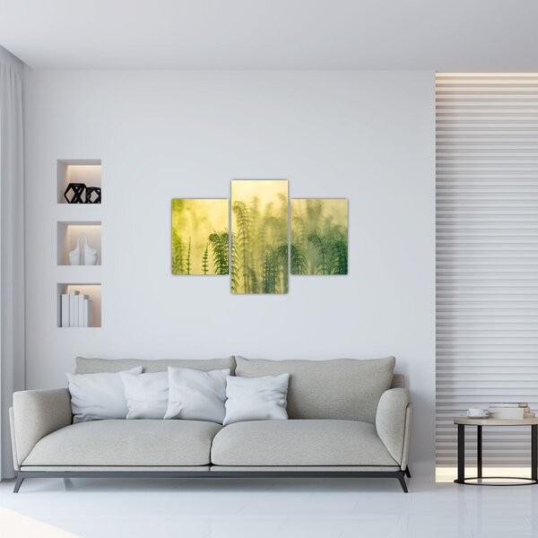 Kép - Részlet a tavaszi ködös természetből (90x60 cm)