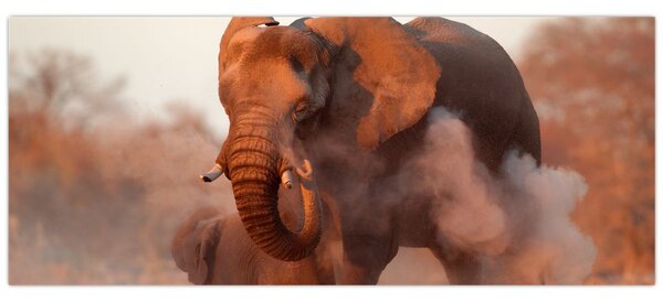 Kép - Nagy afrikai elefánt (120x50 cm)