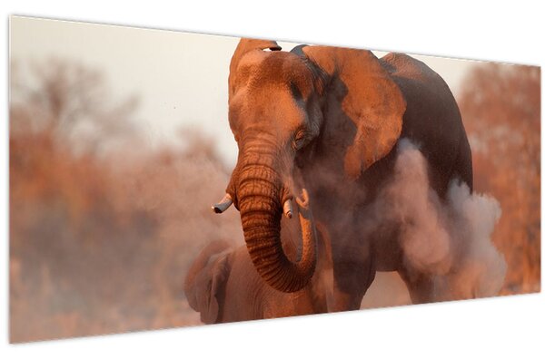 Kép - Nagy afrikai elefánt (120x50 cm)