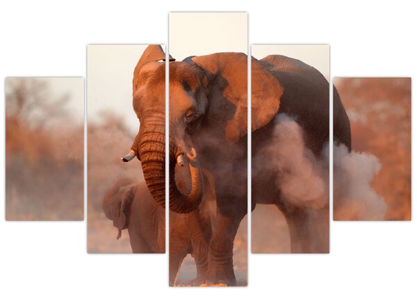 Kép - Nagy afrikai elefánt (150x105 cm)