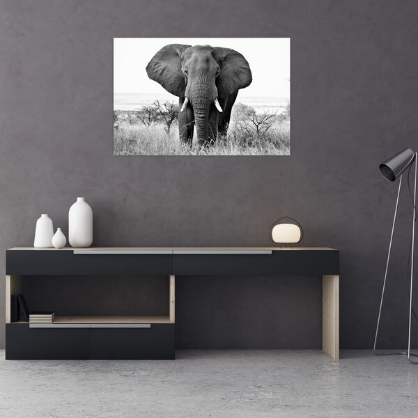 Kép - Afrikai elefánt II. (90x60 cm)