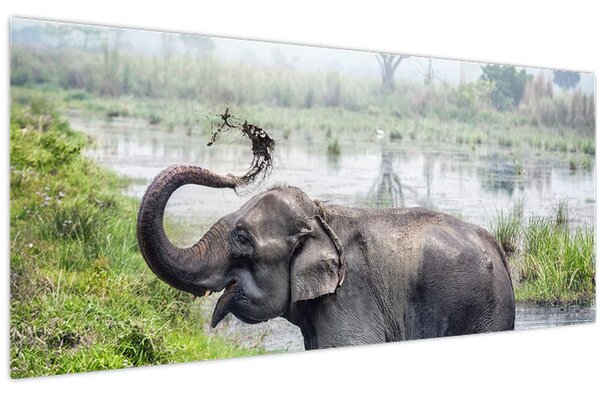 Kép - Fürdőző elefánt (120x50 cm)