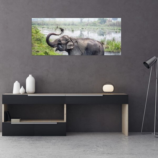 Kép - Fürdőző elefánt (120x50 cm)