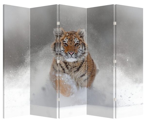 Paraván - Futó tigris a hóban (210x170 cm)