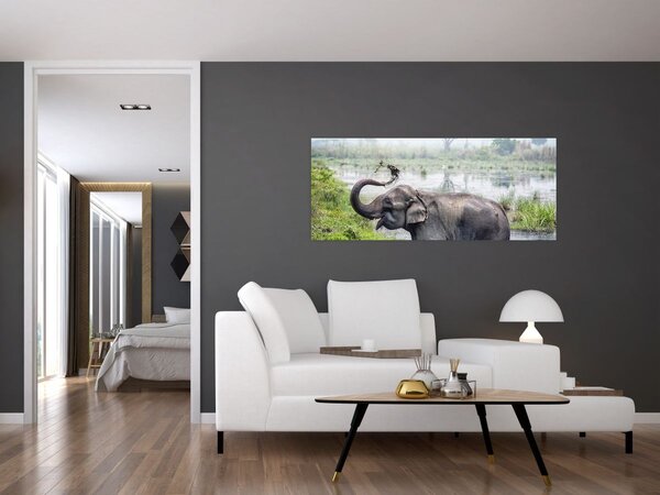 Kép - Fürdőző elefánt (120x50 cm)