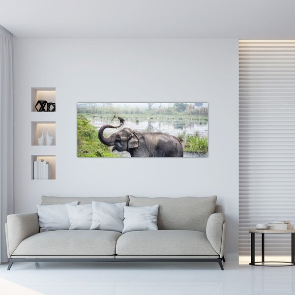 Kép - Fürdőző elefánt (120x50 cm)