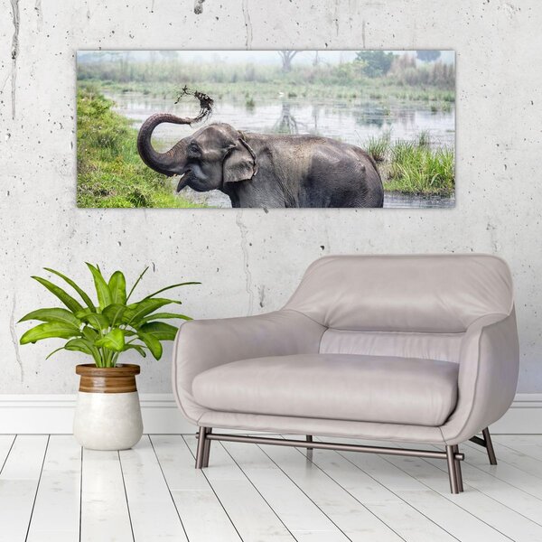 Kép - Fürdőző elefánt (120x50 cm)