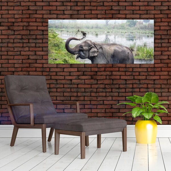 Kép - Fürdőző elefánt (120x50 cm)