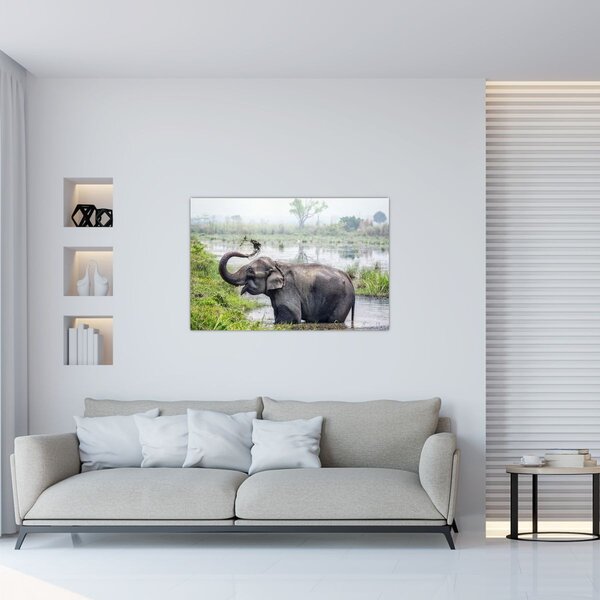 Kép - Fürdőző elefánt (90x60 cm)