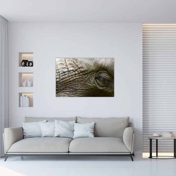 Kép - Közelkép az öreg elefánt szeméről (90x60 cm)