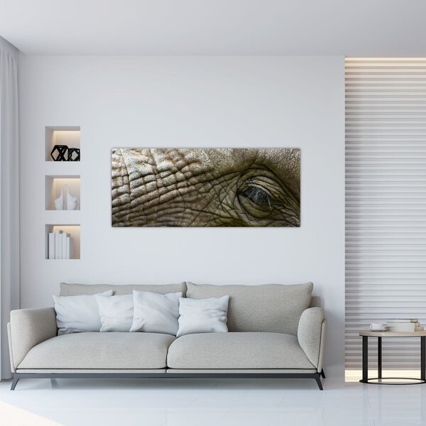 Kép - Közelkép az öreg elefánt szeméről (120x50 cm)