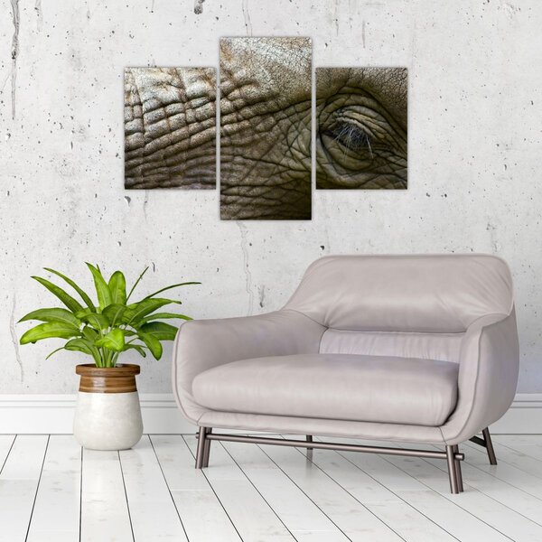 Kép - Közelkép az öreg elefánt szeméről (90x60 cm)