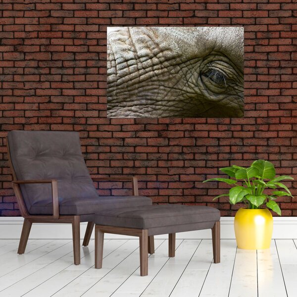 Kép - Közelkép az öreg elefánt szeméről (90x60 cm)