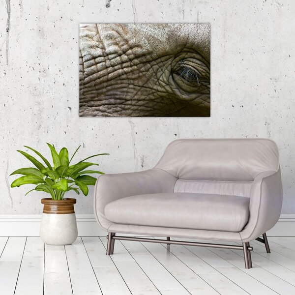 Kép - Közelkép az öreg elefánt szeméről (70x50 cm)