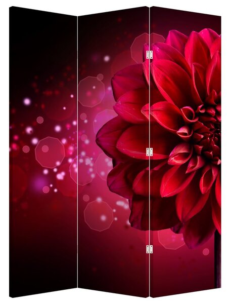 Paraván - Piros virágok (126x170 cm)
