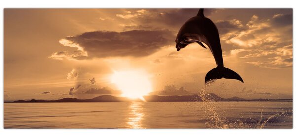 Kép - Delfin naplementében (120x50 cm)