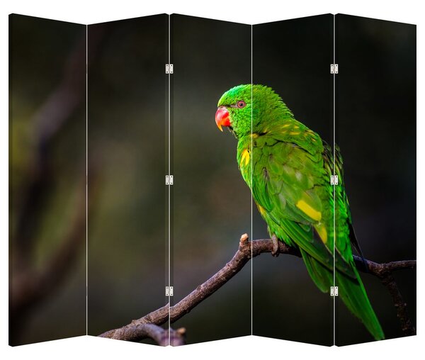 Papagáj egy ágon (210x170 cm)