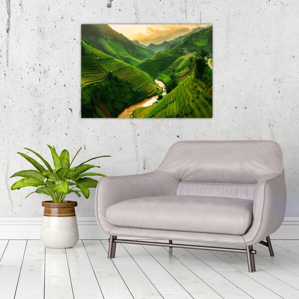 Kép - Mu Cang Chai rizsteraszok (70x50 cm)