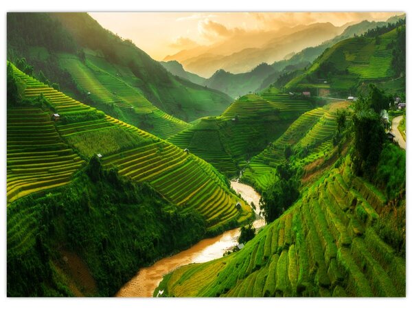 Kép - Mu Cang Chai rizsteraszok (70x50 cm)