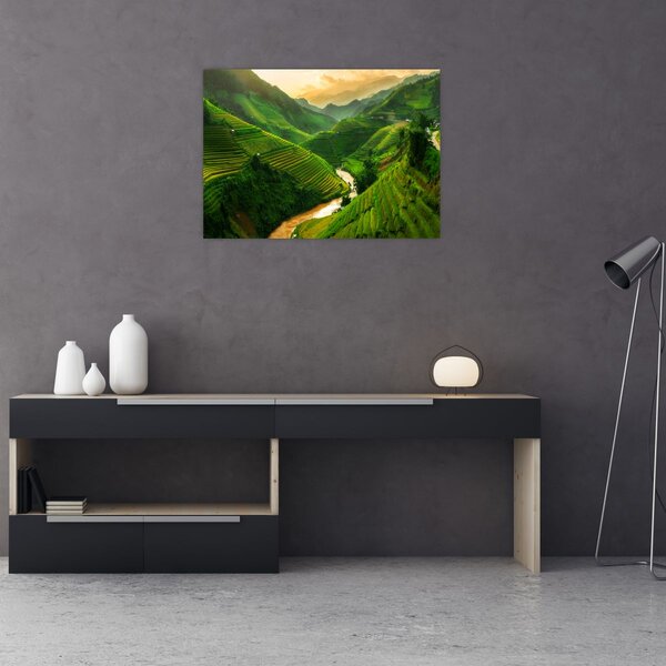 Kép - Mu Cang Chai rizsteraszok (70x50 cm)