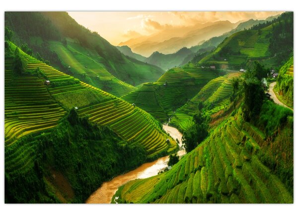 Kép - Mu Cang Chai rizsteraszok (90x60 cm)