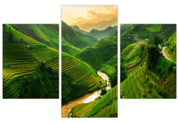 Kép - Mu Cang Chai rizsteraszok (90x60 cm)