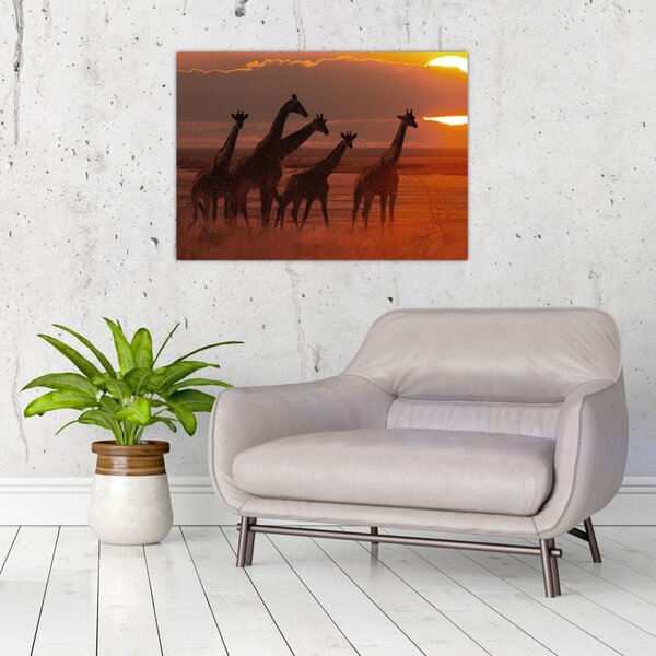 Kép - Zsiráfok az afrikai szavannán (70x50 cm)
