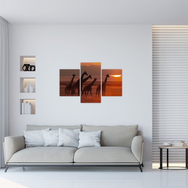 Kép - Zsiráfok az afrikai szavannán (90x60 cm)