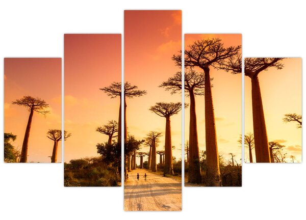 Kép - Naplemente a Baobab Alley-ben (150x105 cm)