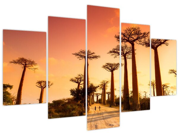 Kép - Naplemente a Baobab Alley-ben (150x105 cm)
