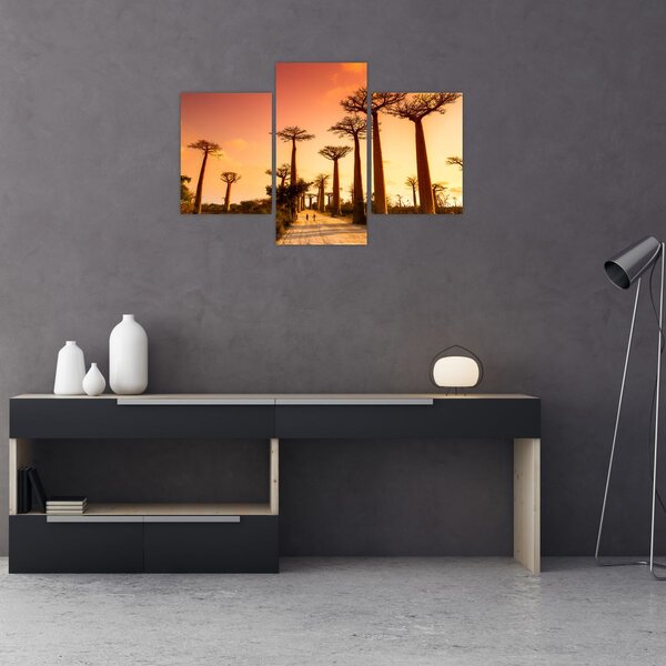 Kép - Naplemente a Baobab Alley-ben (90x60 cm)
