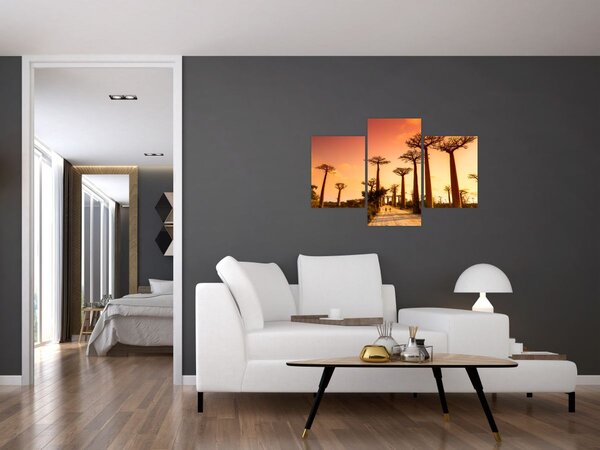 Kép - Naplemente a Baobab Alley-ben (90x60 cm)