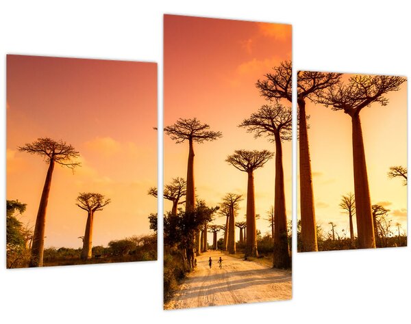 Kép - Naplemente a Baobab Alley-ben (90x60 cm)