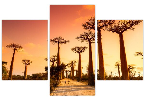 Kép - Naplemente a Baobab Alley-ben (90x60 cm)