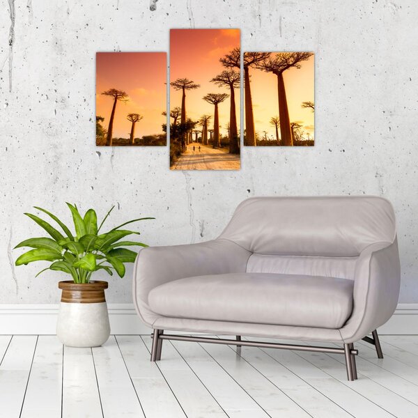 Kép - Naplemente a Baobab Alley-ben (90x60 cm)