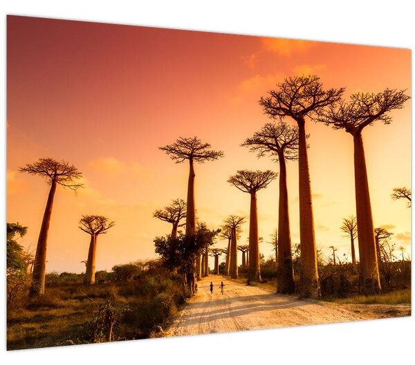 Kép - Naplemente a Baobab Alley-ben (90x60 cm)