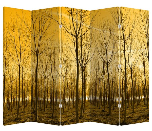 Paraván - Erdő naplementekor (210x170 cm)