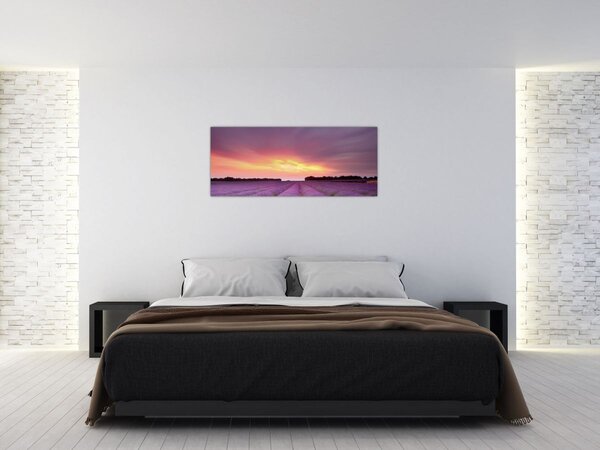 Kép - Levendula mező (120x50 cm)