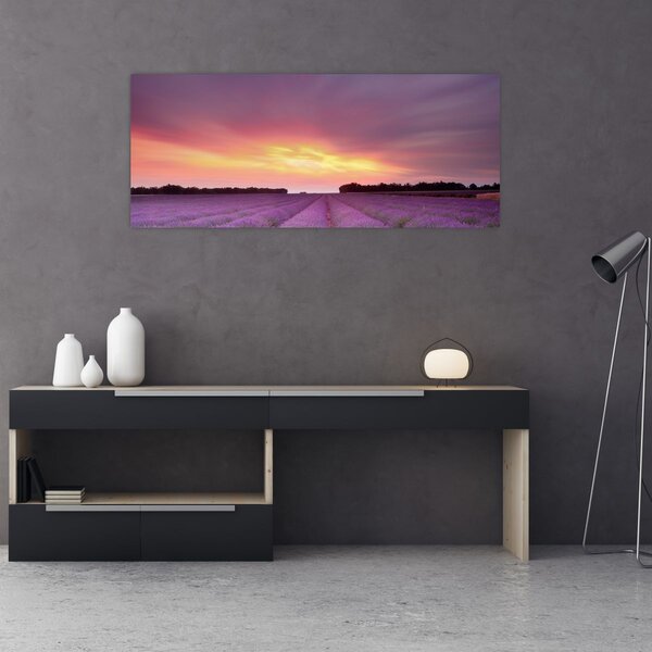 Kép - Levendula mező (120x50 cm)