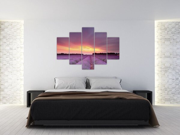 Kép - Levendula mező (150x105 cm)
