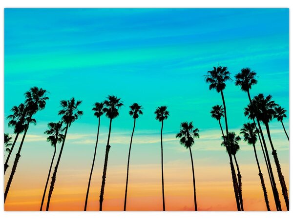 Kép - Kalifornia (70x50 cm)